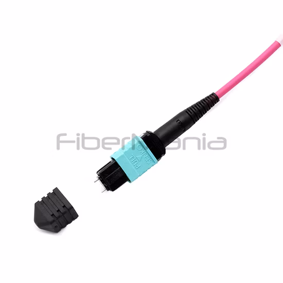 Cordon de brassage à fibre optique MPO/MTP 12 fibres